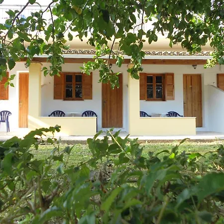 Anemona Palaiokastritsa