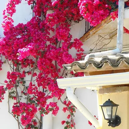 Anemona Apart-hotel *